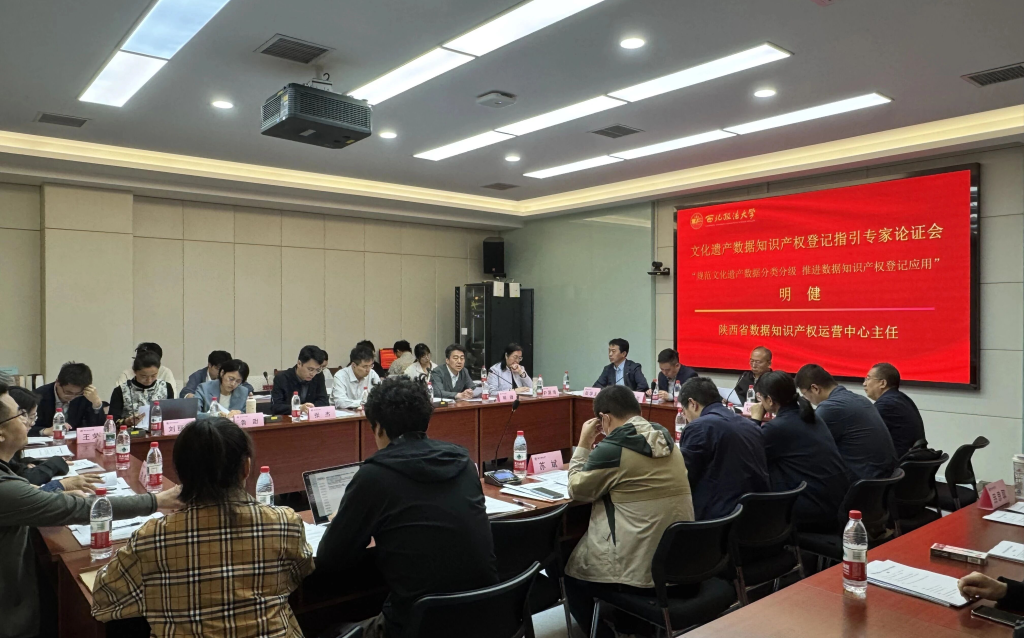 淘丁数科董事长苏斌出席文化遗产数据知识产权专家论证会,为数据要素流通与市场化落地建言献策插图 淘丁数科董事长苏斌出席文化遗产数据知识产权专家论证会,为数据要素流通与市场化落地建言献策插图