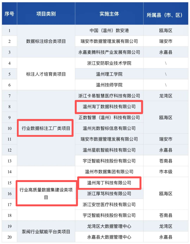 喜讯｜温州淘丁数科成功入选温州市数据局2026年数据和人工智能首批“揭榜挂帅”两大项目插图