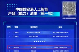 官方认证！淘丁数盾入选中国数安港首批人工智能产品（能力）清单缩略图